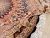 Tabriz Wool & Silk 